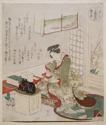 Sort Fasan fra serien 